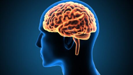 Ushqimet që përmirësojnë kujtesën, çfarë të konsumoni dhe të shmangni për një mendje më të mprehtë