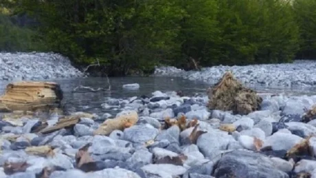 Tragjike në vend! Gjendet i p*jetë trupi i një burri në përrua, dyshohet se…