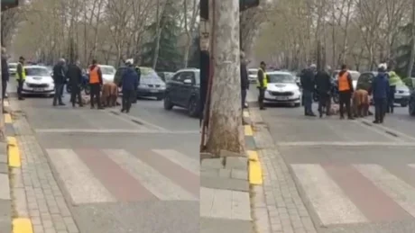 Aksident tragjik në mes të Tiranës! Autoboti me uji përplas për vd*kje një grua