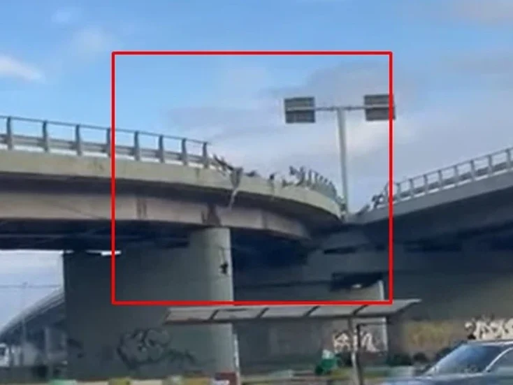 Pamje të frikshme nga aksidenti i mbrëmshëm! Humb jetën 18 vjecarja, shoferi ishte me shpejtësi 300 km/orë