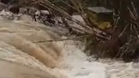 Situat e rëndë në vend! Fermerët në lot ‘Më kanë ngordhur 120 dhi, 60 keca dhe..’ Rëndohet bilanci në Jug!