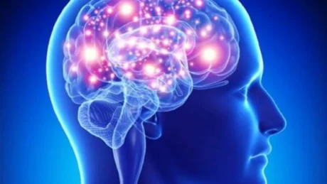 5 ushqimet me te mira per trurin: Ja ne cilen ore duhen konsumuar