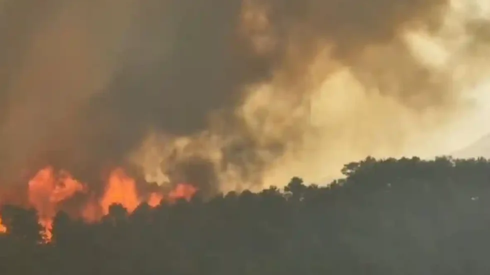 Dy v*ktima nga zjarri në Elbasan, dhjetëra banesa të shkrumbuara dhe 6 fshatra të djegur plotësisht