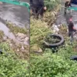 E TMERRSHME nëë vend! Makina del nga rruga dhe bie në lumë. nënë e bir…