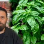 Nuk do ta besosh çfarë i bën trupit BORZILOKU, nutricionisti Altin Joka: Ja si ta përdorësh për shërim
