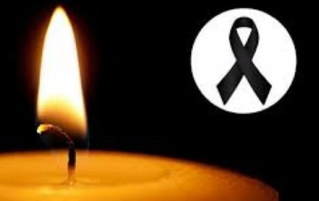 Lajme Big Brother Vip - Lajmi i Fundit, Lajmet e Fundit