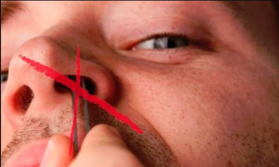 Sipas mjekut te njohur, kjo eshte arsyeja perse nuk duhet qe ti hiqni qimet e hundes