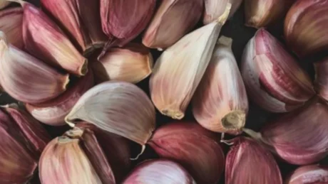 Çfarë i ndodh trupit nëse konsumoni më shumë hudhra seç duhet