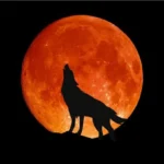 Hëna e Plotë e Ujkut më 3 Janar, këto shenja do të përballen me një…