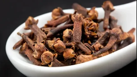 Karafilat do ti mbani gjithmone ne xhep me vete pasi te mesoni keto 8 perfitime