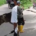 Tërmeti 6.7 ballë në Indonezi ndan rrugën përgjysmë, banorët në panik (VIDEO)
