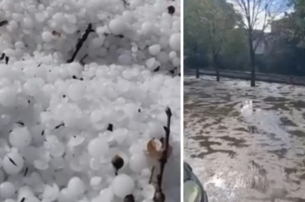 Breshëri si kokërr guri bënë NAMIN në vend, shkatërron të mbjellat dhe…(Video)