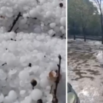 Breshëri si kokërr guri bënë NAMIN në vend, shkatërron të mbjellat dhe…(Video)