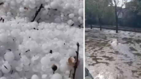 Breshëri si kokërr guri bënë NAMIN në vend, shkatërron të mbjellat dhe…(Video)