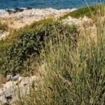 Thellohet tragjedia! Tjetër v*ktimë nga moti i keq në vend, policia gjenë të mb*tyr…