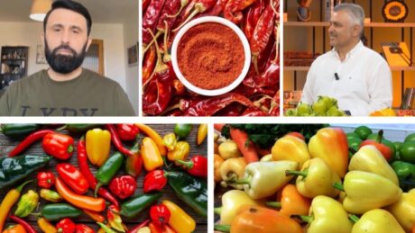 Mos iu ndani specave, janë depo vitaminash! Pse speci djegës është konsideruar ‘ari i kuq’ në tavolinë