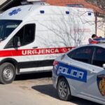 Tronditet vendi! 18-vjeçari pIagoset me th*kë në kokë nga njerku, përfundon në reanimacion