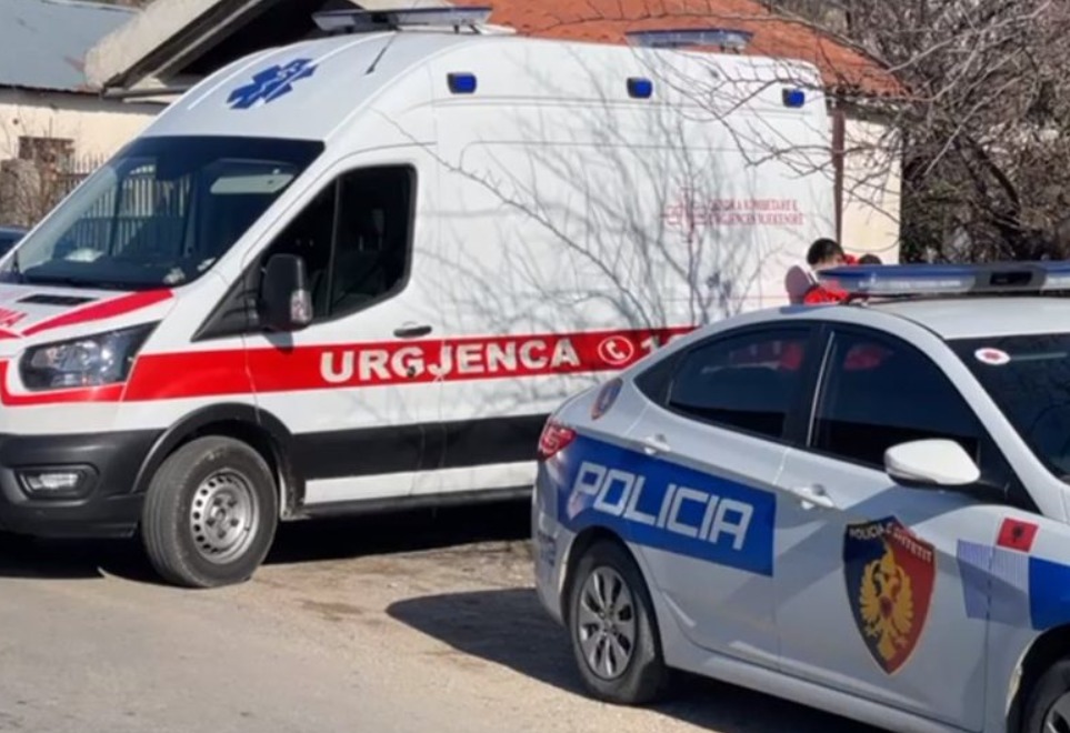 Tronditet vendi! 18-vjeçari pIagoset me th*kë në kokë nga njerku, përfundon në reanimacion